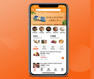金昌APP开发支付电商系统专业精湛，服务至上【现在购买更划算】